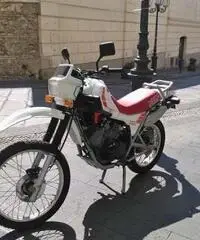 MITICO MORINI KANGURO 350 MITICO MORINI KANGURO 350