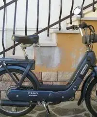 Piaggio Ciao PX 50 Piaggio Ciao PX 50