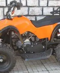 QUAD MINI HUMMER 50 2T QUAD MINI HUMMER 50 2T