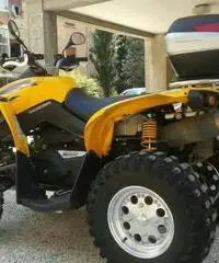 Can am renegade 800 Can am renegade 800