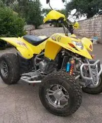 Quad 250 cc 4 tempi anno 2008 Quad 250 cc 4 tempi anno 2008