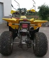 Quad 250 cc 4 tempi anno 2008 Quad 250 cc 4 tempi anno 2008