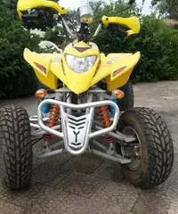 Quad 250 cc 4 tempi anno 2008 Quad 250 cc 4 tempi anno 2008
