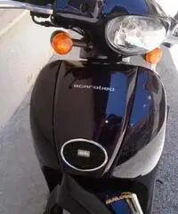 Vendo scarabeo 50cc