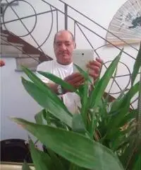 Cerco compagnal Cerco compagnal