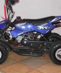 Mini quad 2013 Mini quad 2013