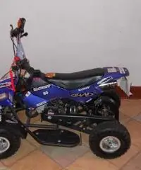 Mini quad 2013 Mini quad 2013