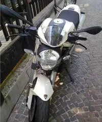 DUCATI MONSTER DUCATI MONSTER