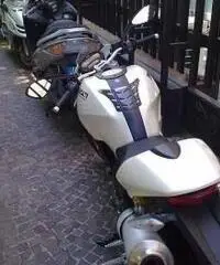 DUCATI MONSTER DUCATI MONSTER