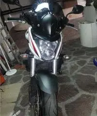 HONDA HORNET 2010