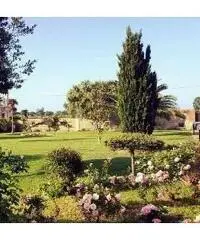 Villa 800 metri dal mare