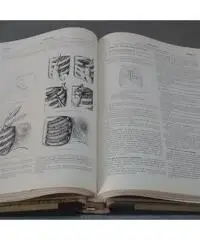 Encyclopedie medico= chirurgicale Encyclopedie medico= chirurgicale