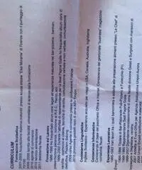 Cerco lavoro serio Cerco lavoro serio