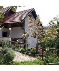 Cerco compagna Cerco compagna