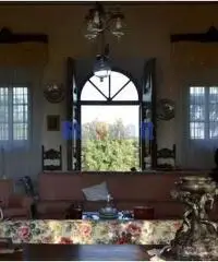 Villa Pistoia Villa Pistoia