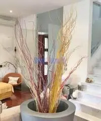 Villa a Lido di Camaiore Villa a Lido di Camaiore