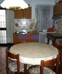 Terra tetto FINALE a Capanmori Terra tetto FINALE a Capanmori