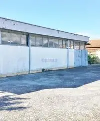 Capannone a Montramito