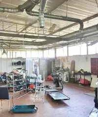 Capannone a Montramito