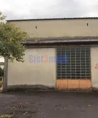 Capannone a Segromigno Capannone a Segromigno