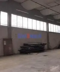 Capannone a Segromigno Capannone a Segromigno