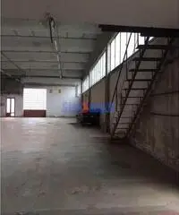 Capannone a Segromigno Capannone a Segromigno