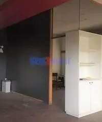 Capannone a Segromigno Capannone a Segromigno