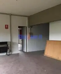 Capannone a Segromigno Capannone a Segromigno