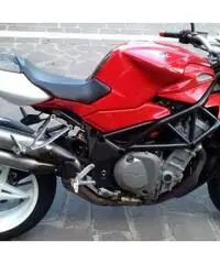 Mv brutale 750 - 2004 Mv brutale 750 - 2004