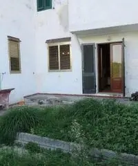 Rif.P64| appartamento trilocale Rif.P64| appartamento trilocale