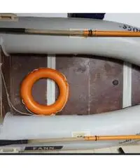 Gommone con motore elettrico Gommone con motore elettrico