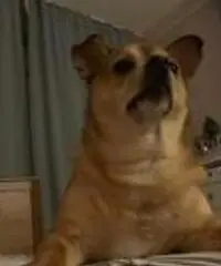 Alla ricerca della felicità