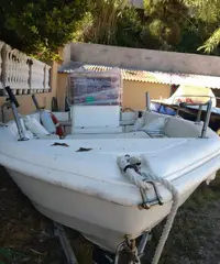 Barca a motore Barca a motore