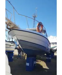 Baylaner.da vedere Baylaner.da vedere