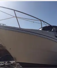 Monterey 26.2 Monterey 26.2