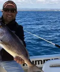 Barca battuta di pesca traina bolentino jigging