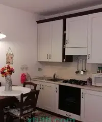 APPARTAMENTO CON GIARDINO E INGRESSO INDIPENDENTE APPARTAMENTO CON GIARDINO E INGRESSO INDIPENDENTE