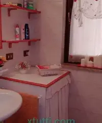 APPARTAMENTO CON GIARDINO E INGRESSO INDIPENDENTE APPARTAMENTO CON GIARDINO E INGRESSO INDIPENDENTE