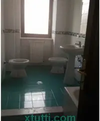 Affitasi soluzione indipendente