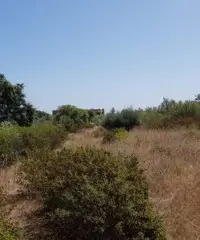 Terreno edificabile turistico/servizi Terreno edificabile turistico/servizi