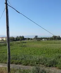 Terreno edificabile 5000mq Terreno edificabile 5000mq
