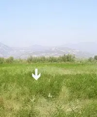 Terreno edificabile 5000mq Terreno edificabile 5000mq