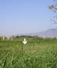 Terreno edificabile 5000mq Terreno edificabile 5000mq