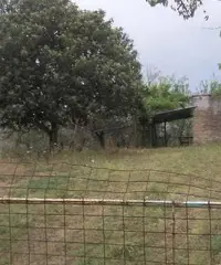 Rustico a Spacca la Canna (Guidonia) Rustico a Spacca la Canna (Guidonia)