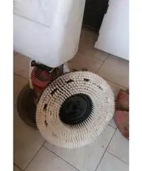 Monospazzola Monospazzola