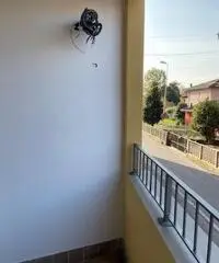 Trilocali Trilocali