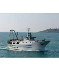 Motopesca peschereccio cod. 3824