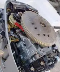 Barca con motore evinrude 9.9 cv