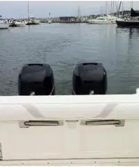 Boston Whaler 305 Conquest