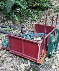 Goldoni 3050 dt Goldoni 3050 dt